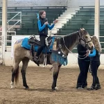 equestrian-rider-clinics