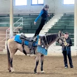 equestrian-rider-clinic