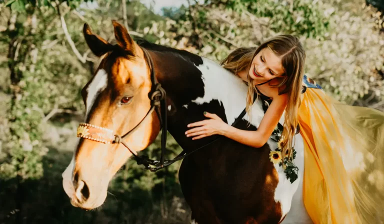 Horses_Cletus