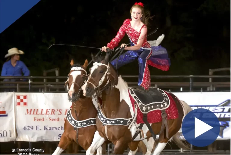 liberty-3-horse-combo