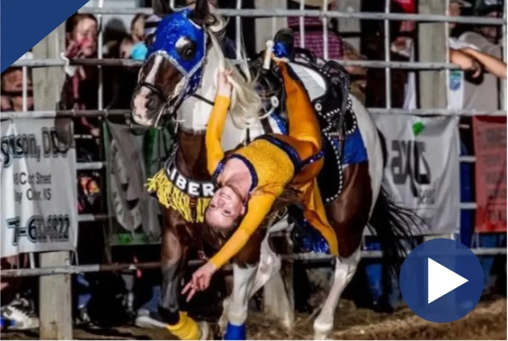 liberty-4-horse-combo