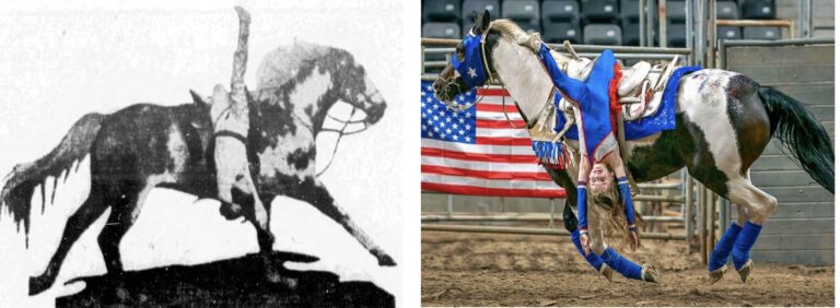 Cousin Malee Harding in 1930 at age 10 
and Liberty at the same age in 2021.